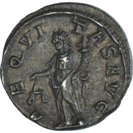 Mince,
Severus Alexander,
denár