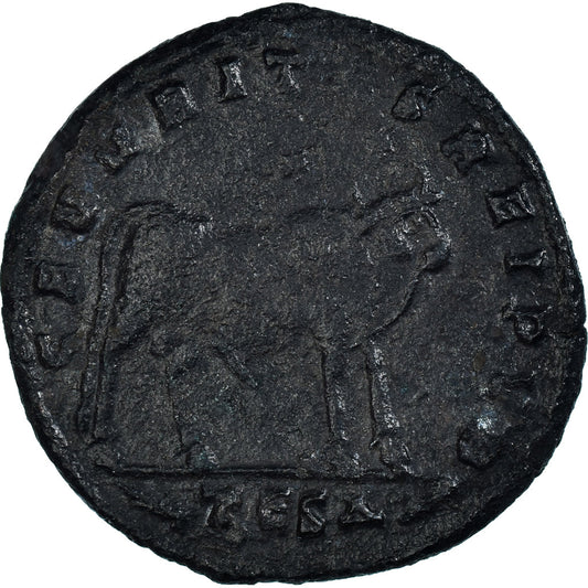 Mince,
Julian II,
Maiorina