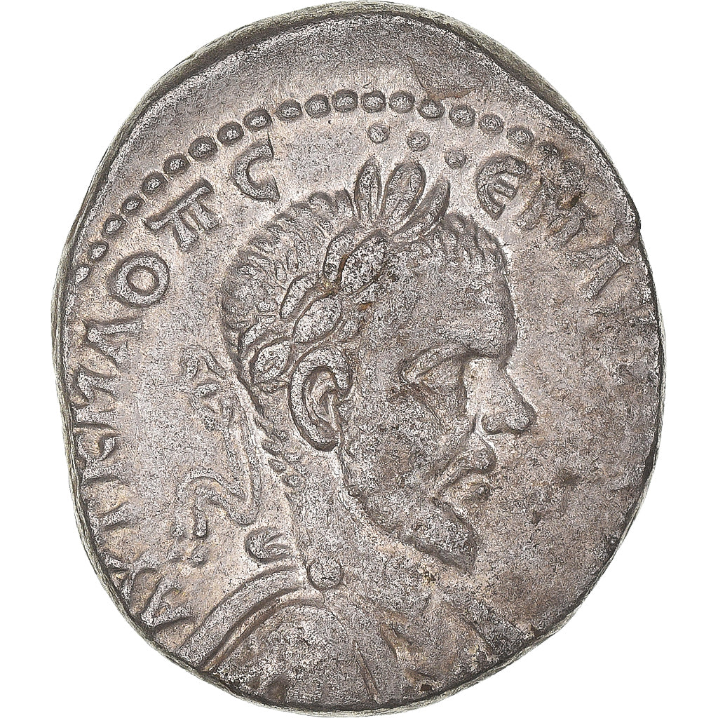 Mince,
cyrrhestica,
Macrinus