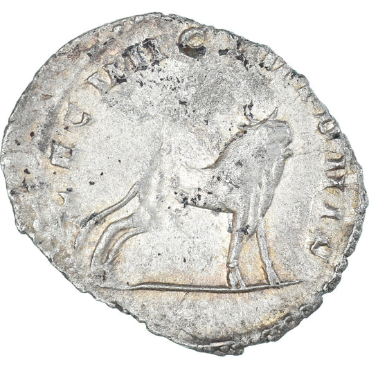 Gallienus,
Antoninianus,
260-269