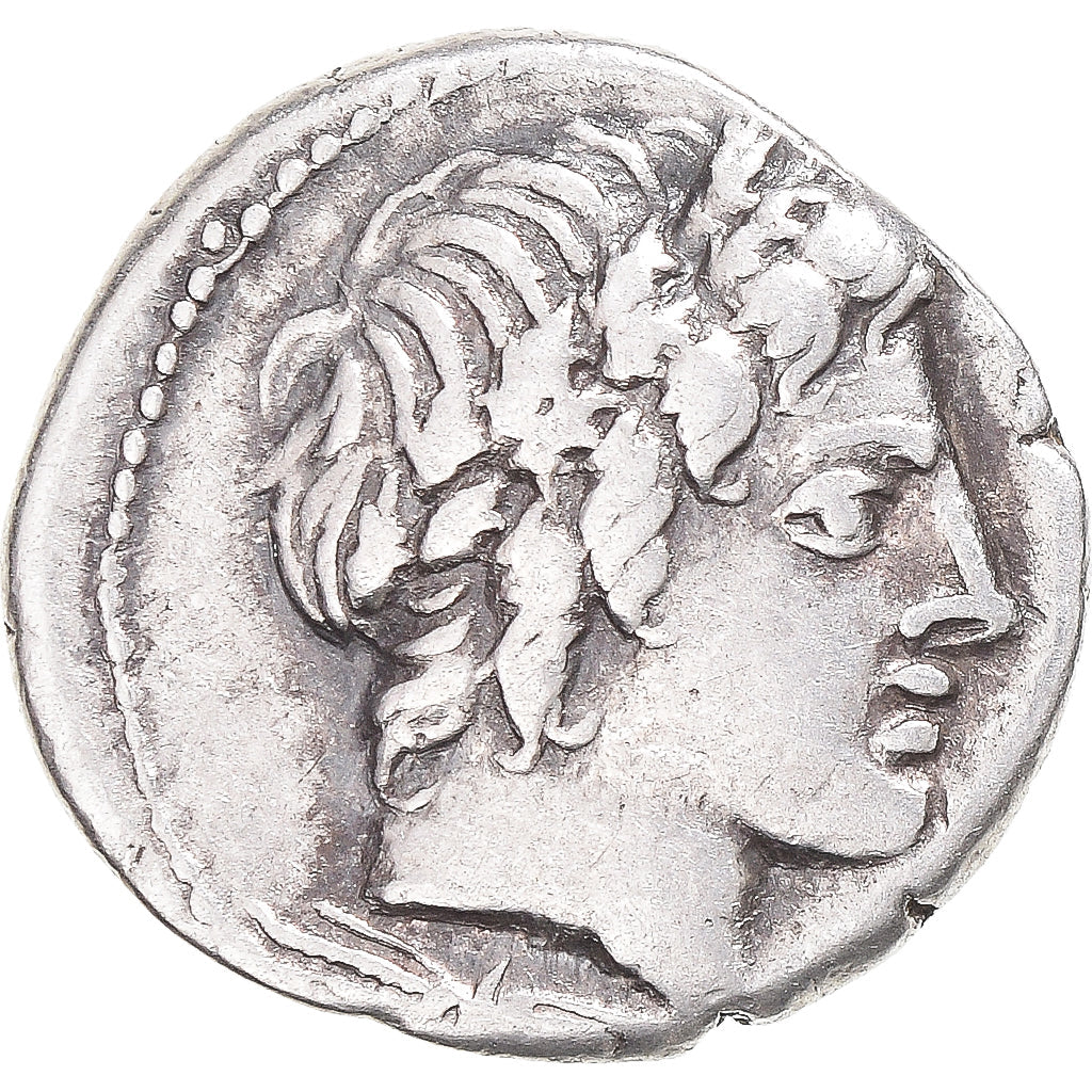 Mince,
Gargilius,
Ogulnius