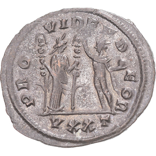Mince,
Severina,
Antoninianus