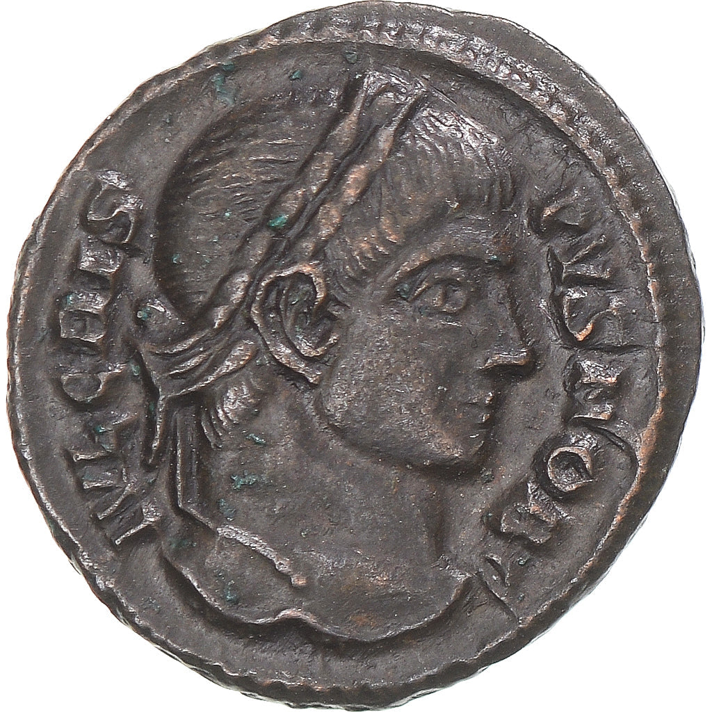 Mince,
crispus,
Zlomek Æ