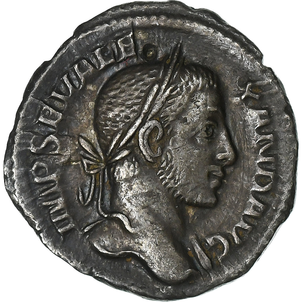 Severus Alexander,
denár,
229