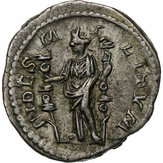 Severus Alexander,
denár,
255
