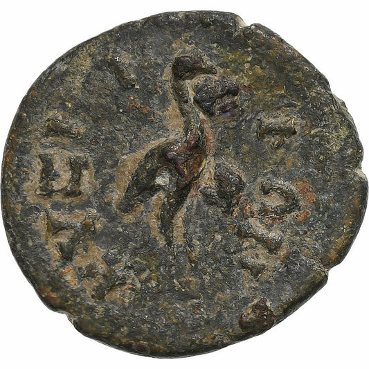 mysia,
Commodus,
Æ Jednotka