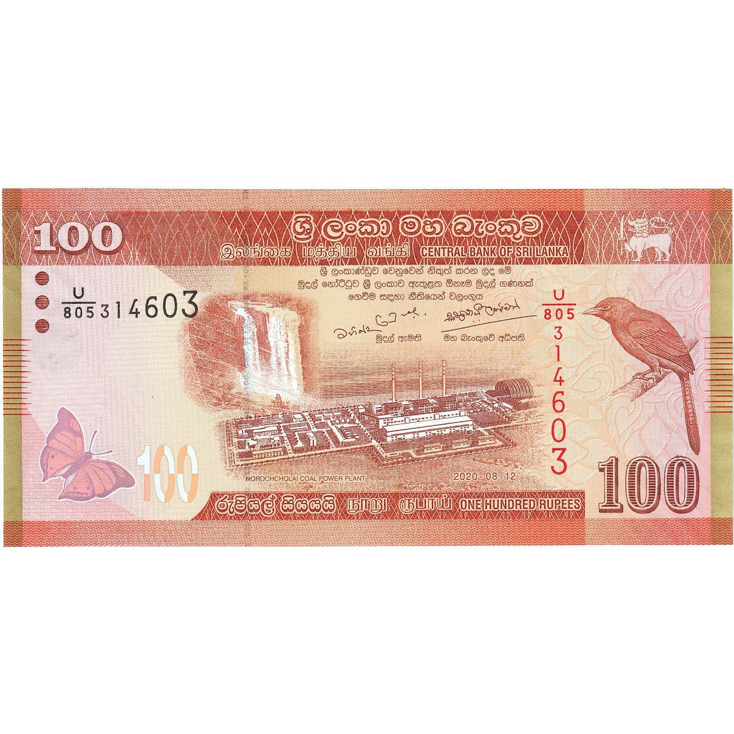 Srí Lanka,
100 rupií,
2020