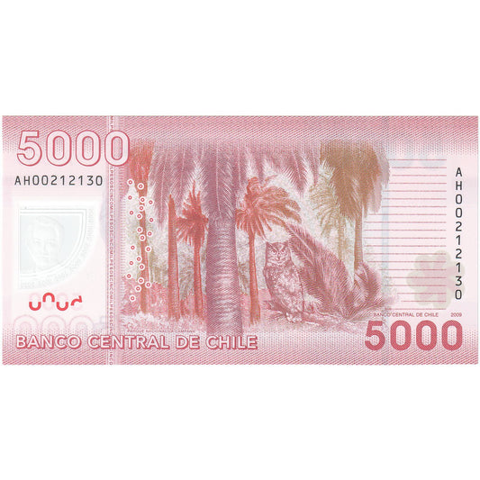 Chile,
5000 pesos,
2009