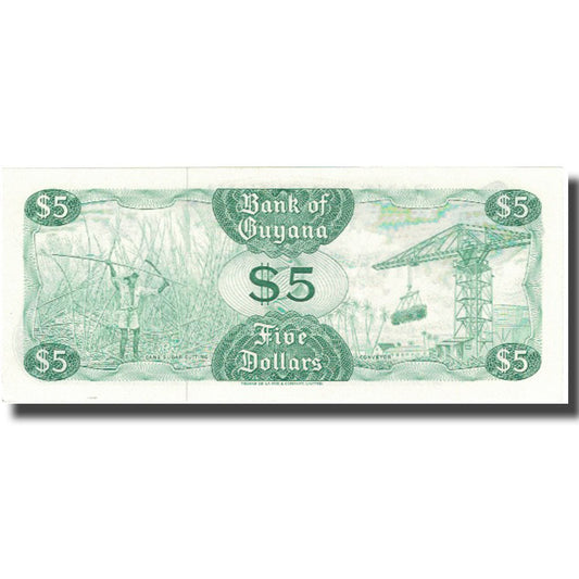 Bankovka,
Guyana,
5 dolarů