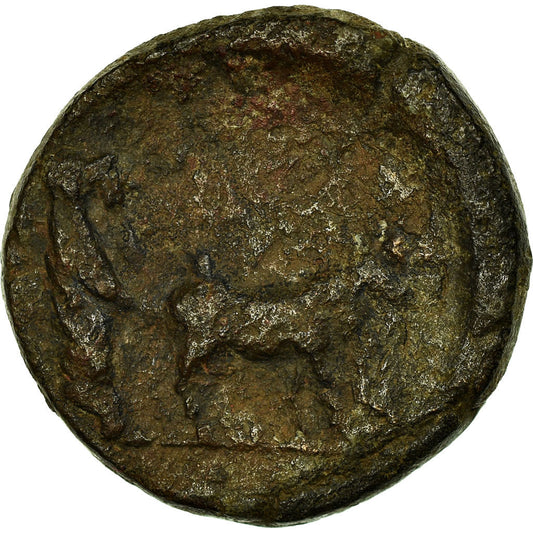 Mince,
Drusus,
Bronz Æ