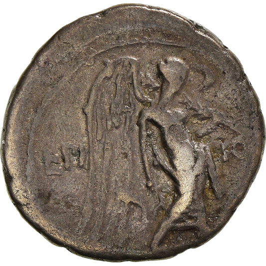 Mince,
Calpurnia,
Quinarius