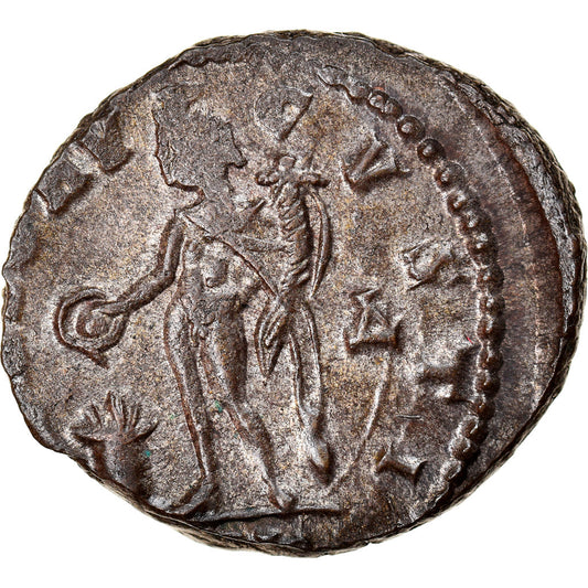 Mince,
Licinius I,
Follis