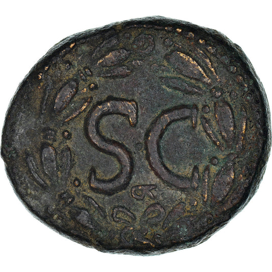 Mince,
Seleucis a Pieria,
Nerva
