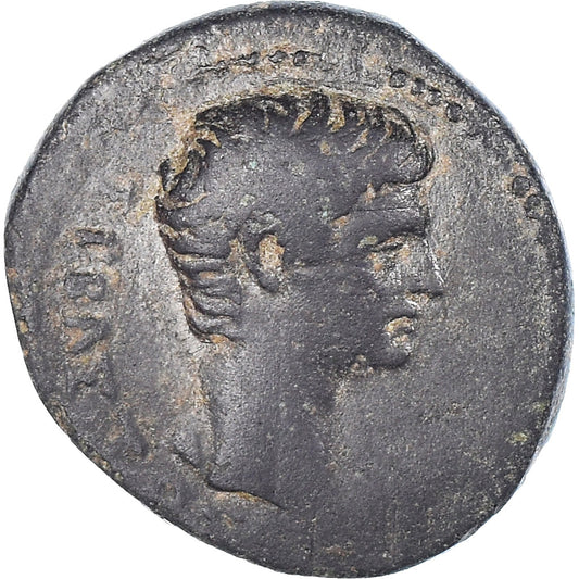 Mince, 
  
  Frygie, 
  
  Augustus