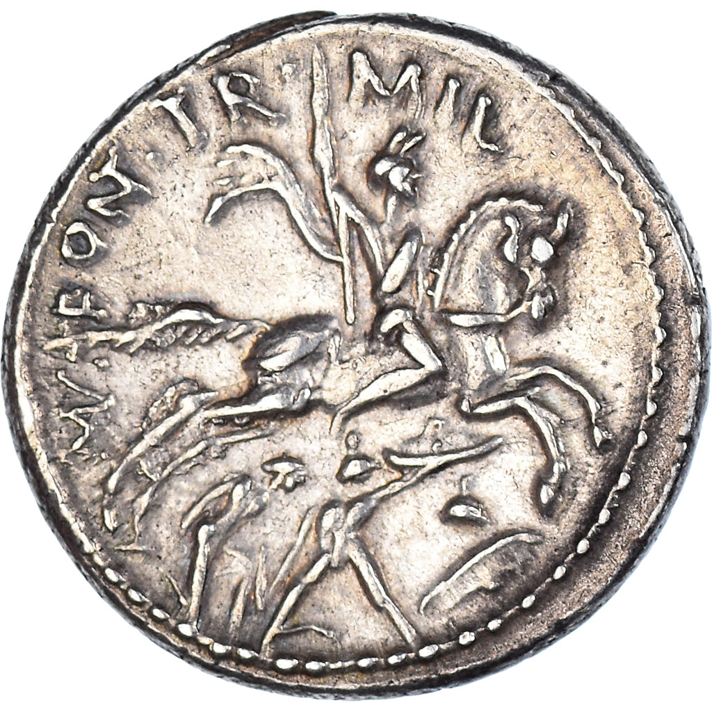 Mince, 
  
  Fonteia, 
  
  denár