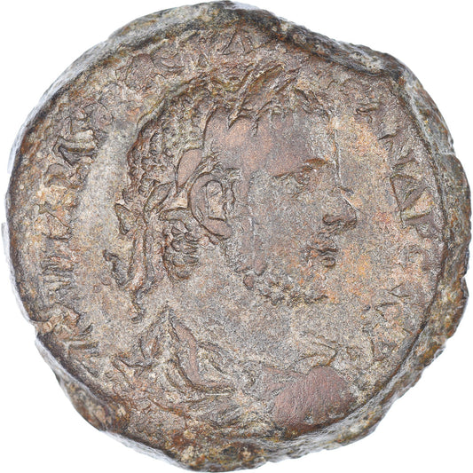 Mince, 
  
  Egypt, 
  
  Severus Alexander