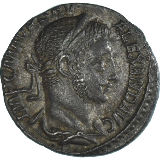 Mince, 
  
  Severus Alexander, 
  
  denár
