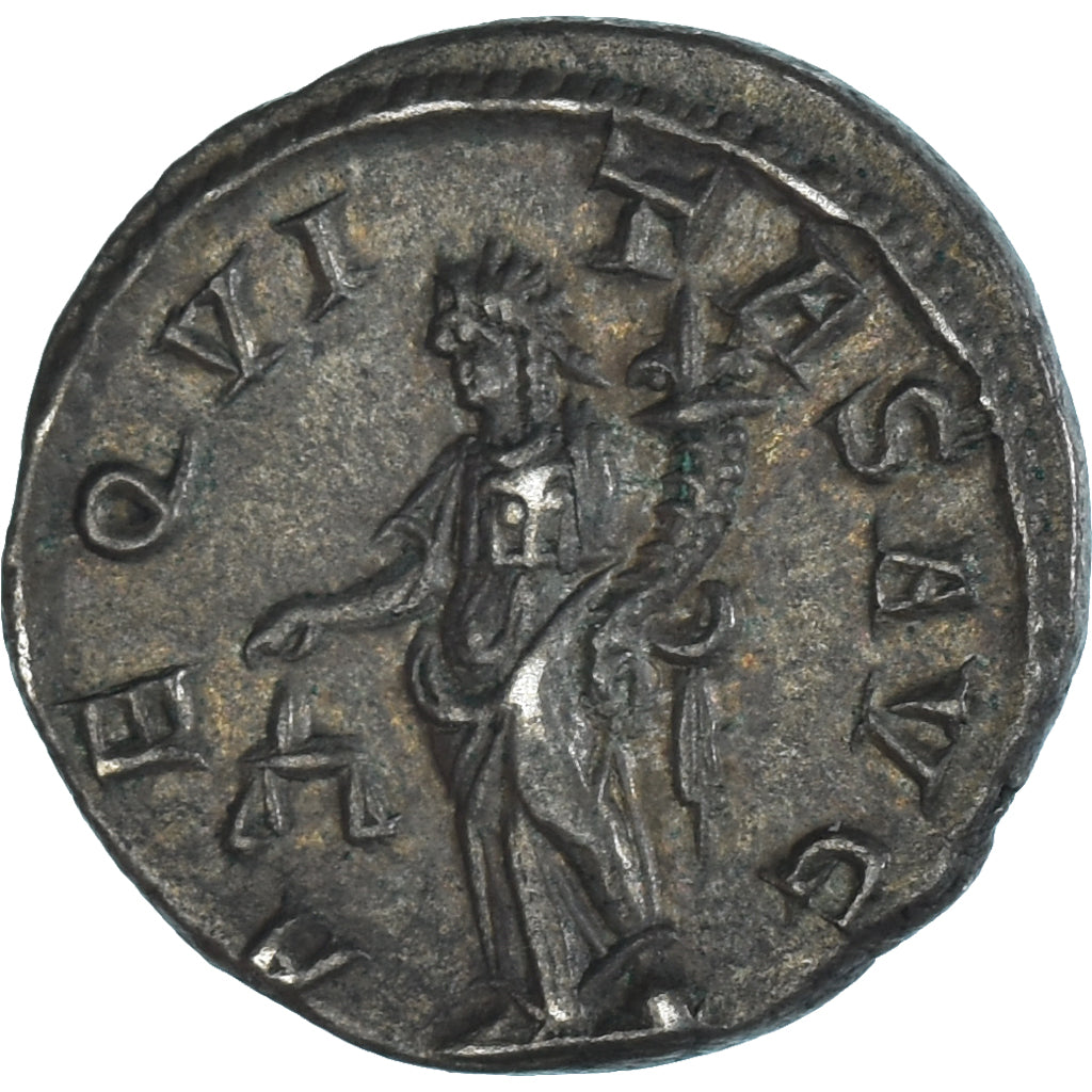 Mince, 
  
  Severus Alexander, 
  
  denár