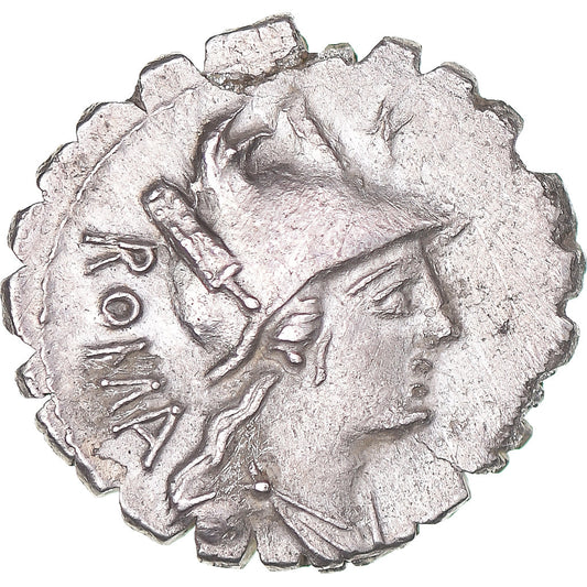 Mince, 
  
  C. Poblicius Q.f., 
  
  Denár Serratus