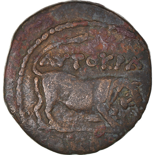 Mince, 
  
  Egypt, 
  
  Claudius
