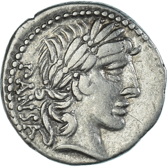 Mince, 
  
  C. Vibius C.f. Pansa., 
  
  denár