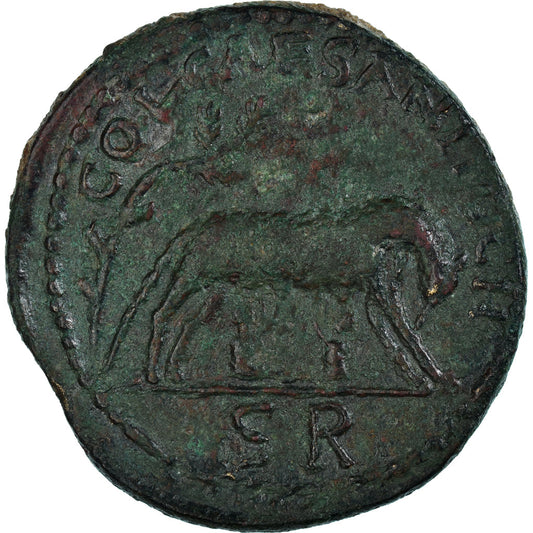 Mince, 
  
  Pisidia, 
  
  Severus Alexander