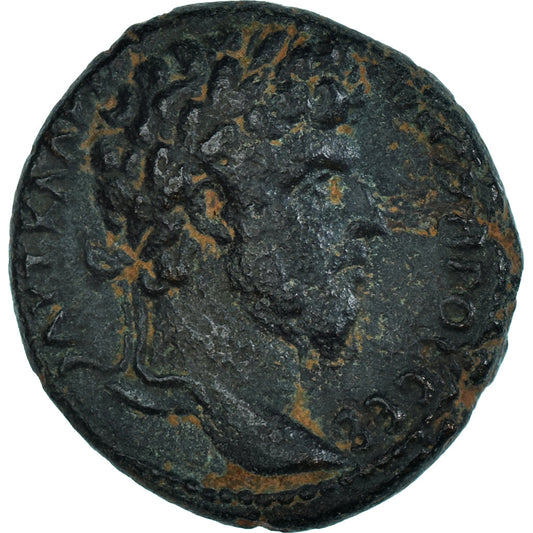 Mince, 
  
  Seleucis a Pieria, 
  
  Lucius Verus