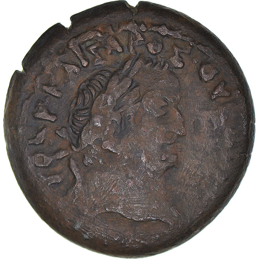 Mince, 
  
  Egypt, 
  
  Vespasian