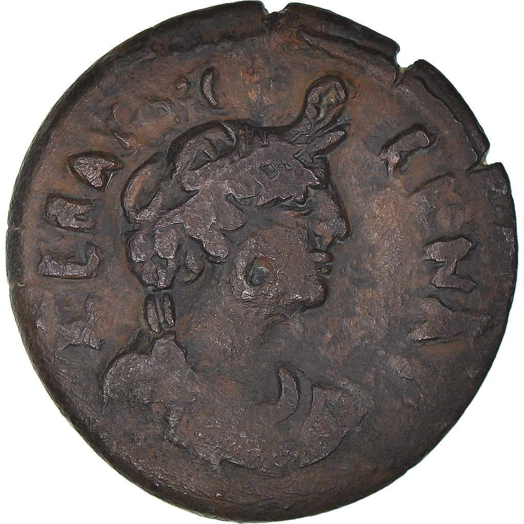 Mince, 
  
  Egypt, 
  
  Vespasian
