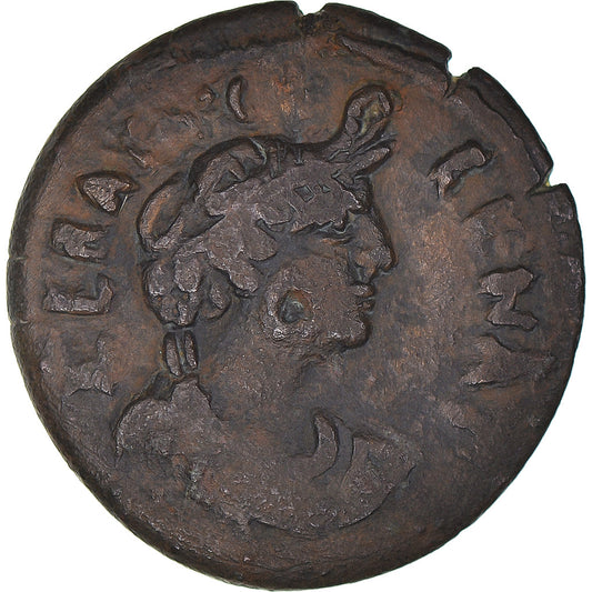 Mince, 
  
  Egypt, 
  
  Vespasian