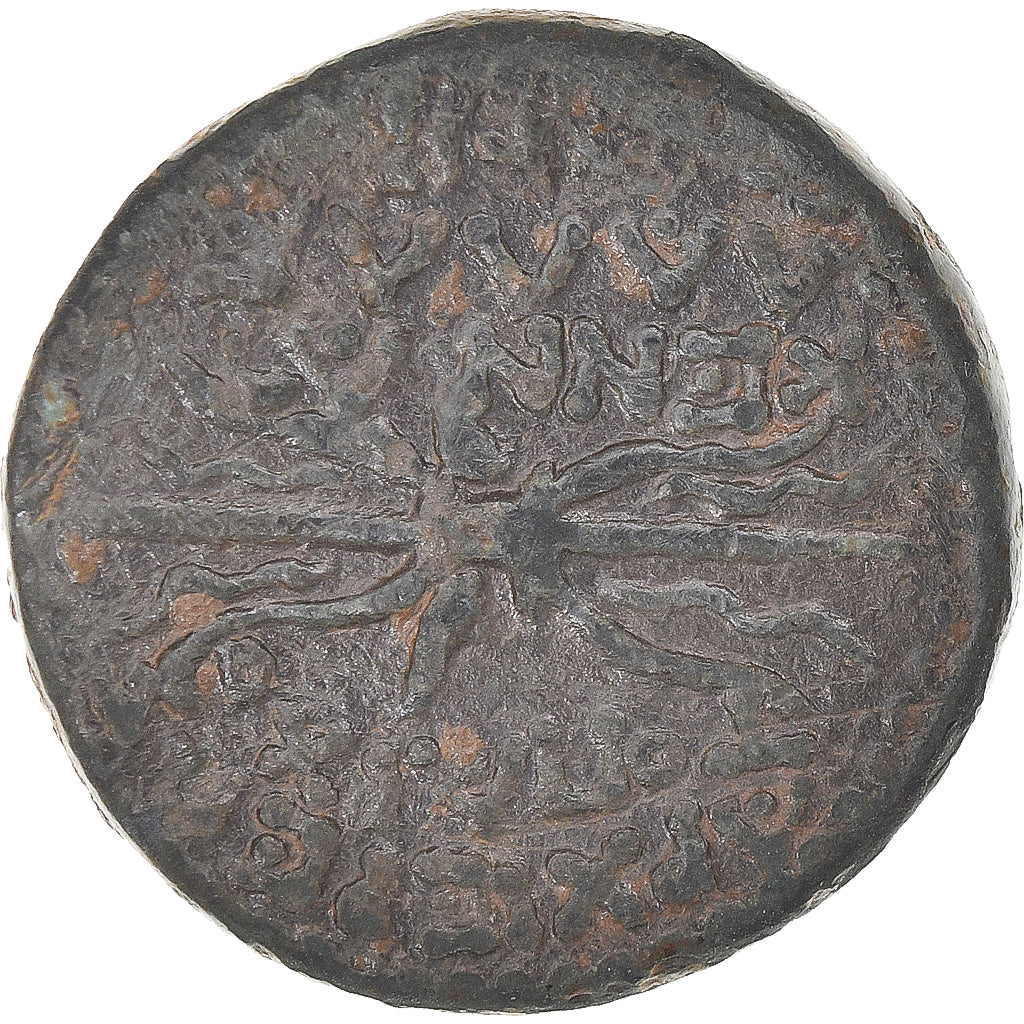 Mince, 
  
  kilicie, 
  
  Pseudoautonomní