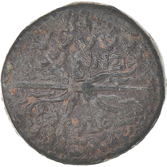 Mince, 
  
  kilicie, 
  
  Pseudoautonomní