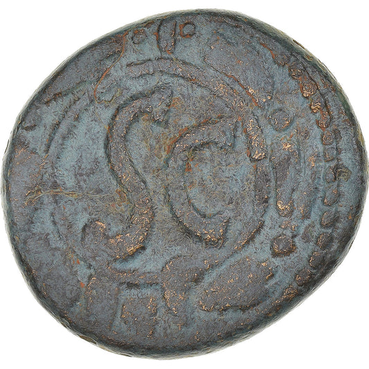 Mince, 
  
  Seleucis a Pieria, 
  
  Tiberius