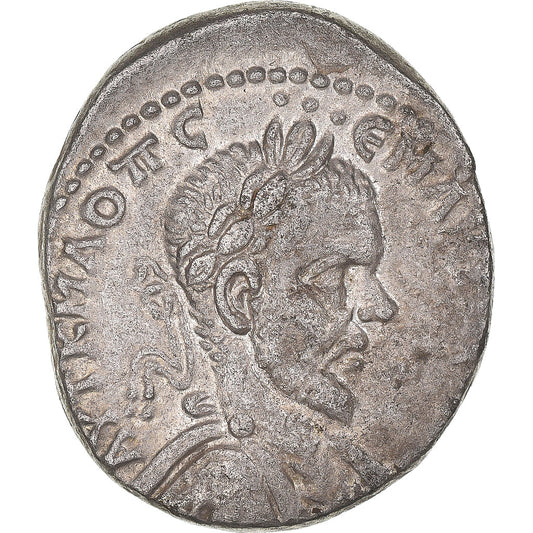 Mince, 
  
  cyrrhestica, 
  
  Macrinus