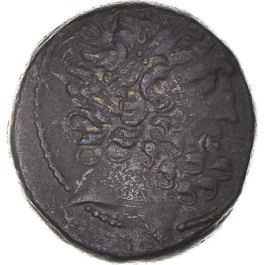 Mince, 
  
  Seleucis a Pieria, 
  
  tetrachalkon