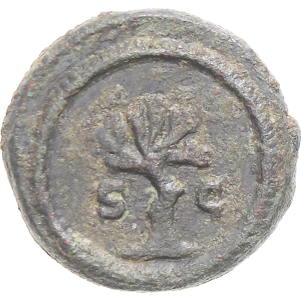 Mince, 
  
  Antoninus Pius, 
  
  Kvadrany