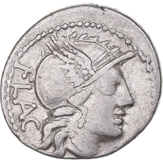 Mince, 
  
  rutilie, 
  
  denár