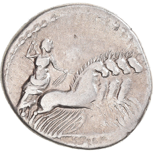 Mince, 
  
  gargonie, 
  
  denár