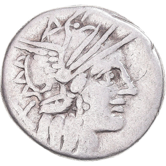 Mince, 
  
  Plautia, 
  
  denár