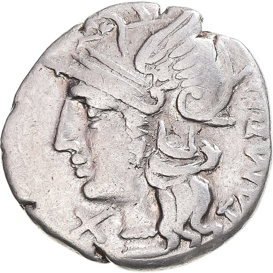 Mince, 
  
  baebia, 
  
  denár
