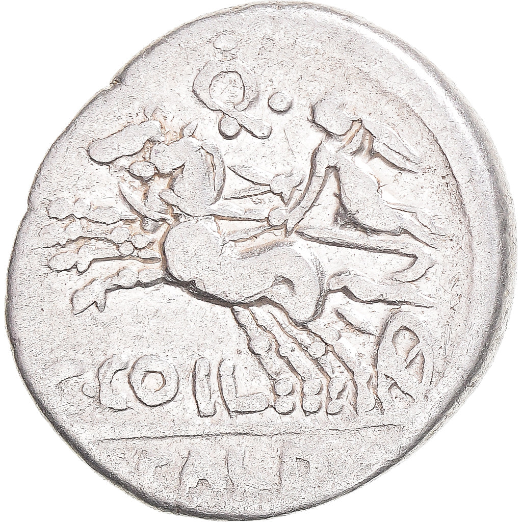Mince, 
  
  coelia, 
  
  denár