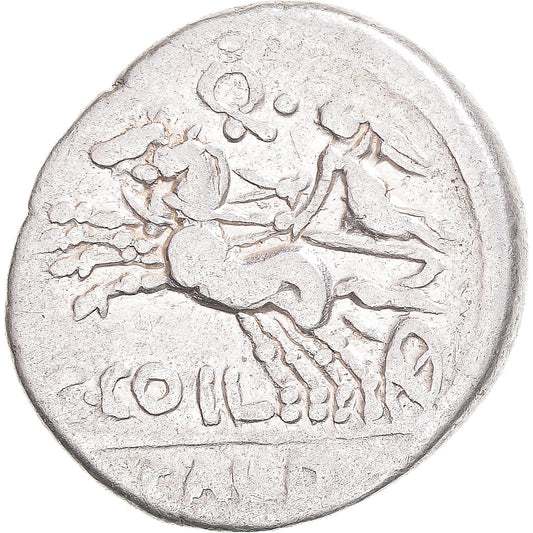 Mince, 
  
  coelia, 
  
  denár