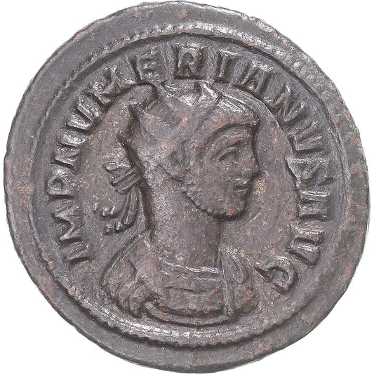 Mince, 
  
  Numerian, 
  
  Antoninianus