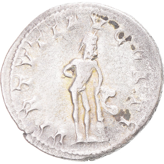 Mince, 
  
  Gordian III, 
  
  Antoninianus