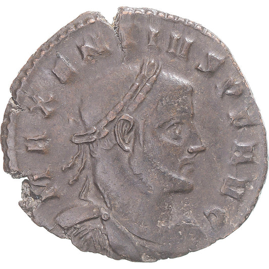 Mince, 
  
  Maxentius, 
  
  Bronz Æ