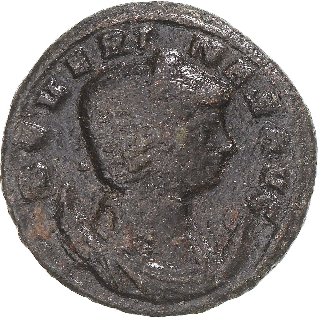 Mince, 
  
  Severina, 
  
  Aurelianus