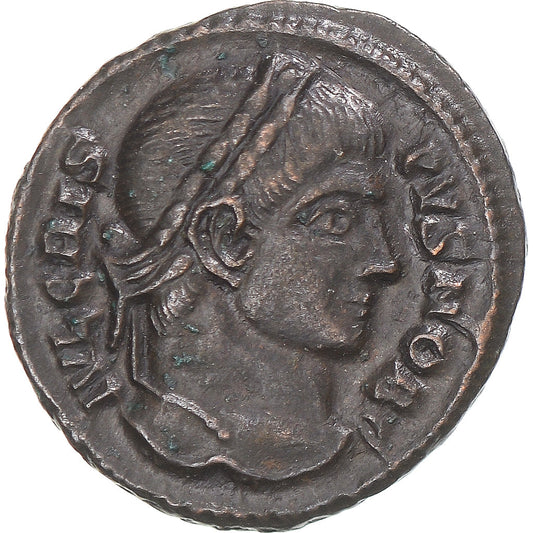 Mince, 
  
  crispus, 
  
  Zlomek Æ