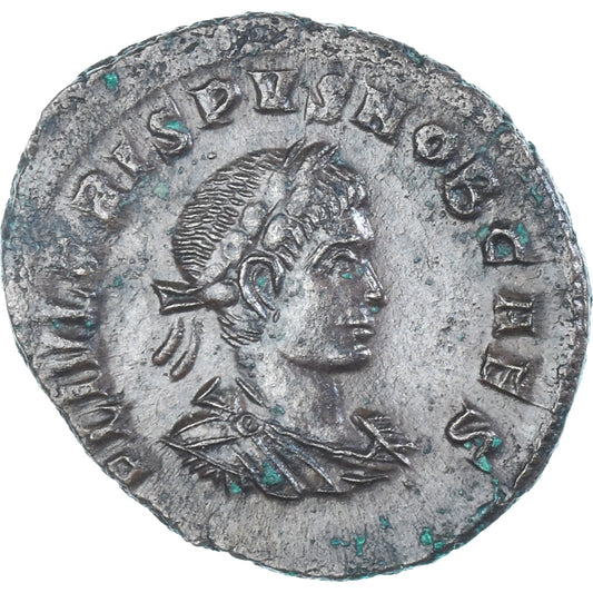 Mince, 
  
  crispus, 
  
  Follis