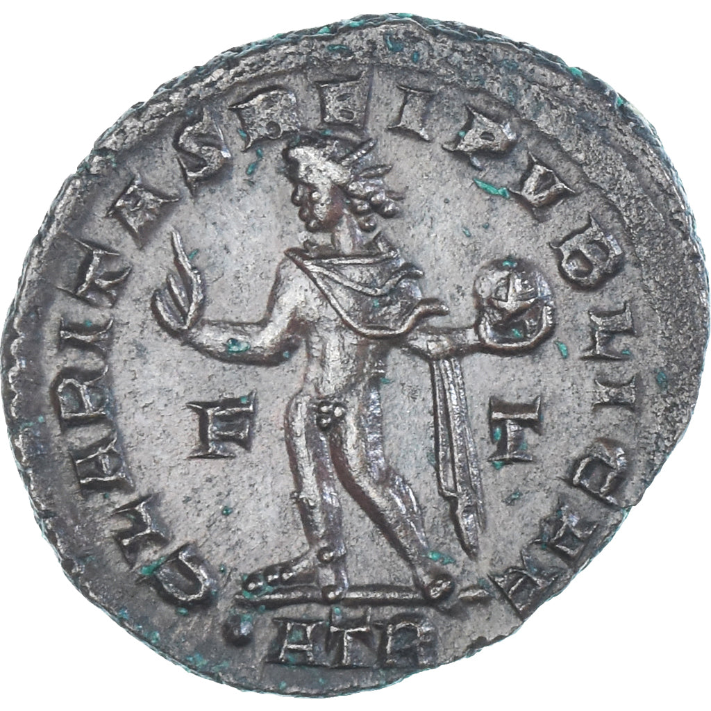 Mince, 
  
  crispus, 
  
  Follis