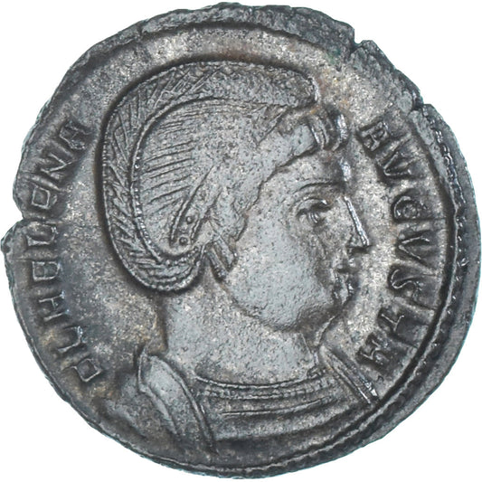Mince, 
  
  Helena, 
  
  Follis